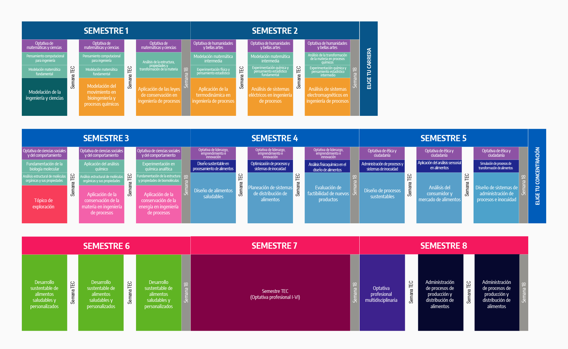 Plan de Estudios Ingeniero en Alimentos