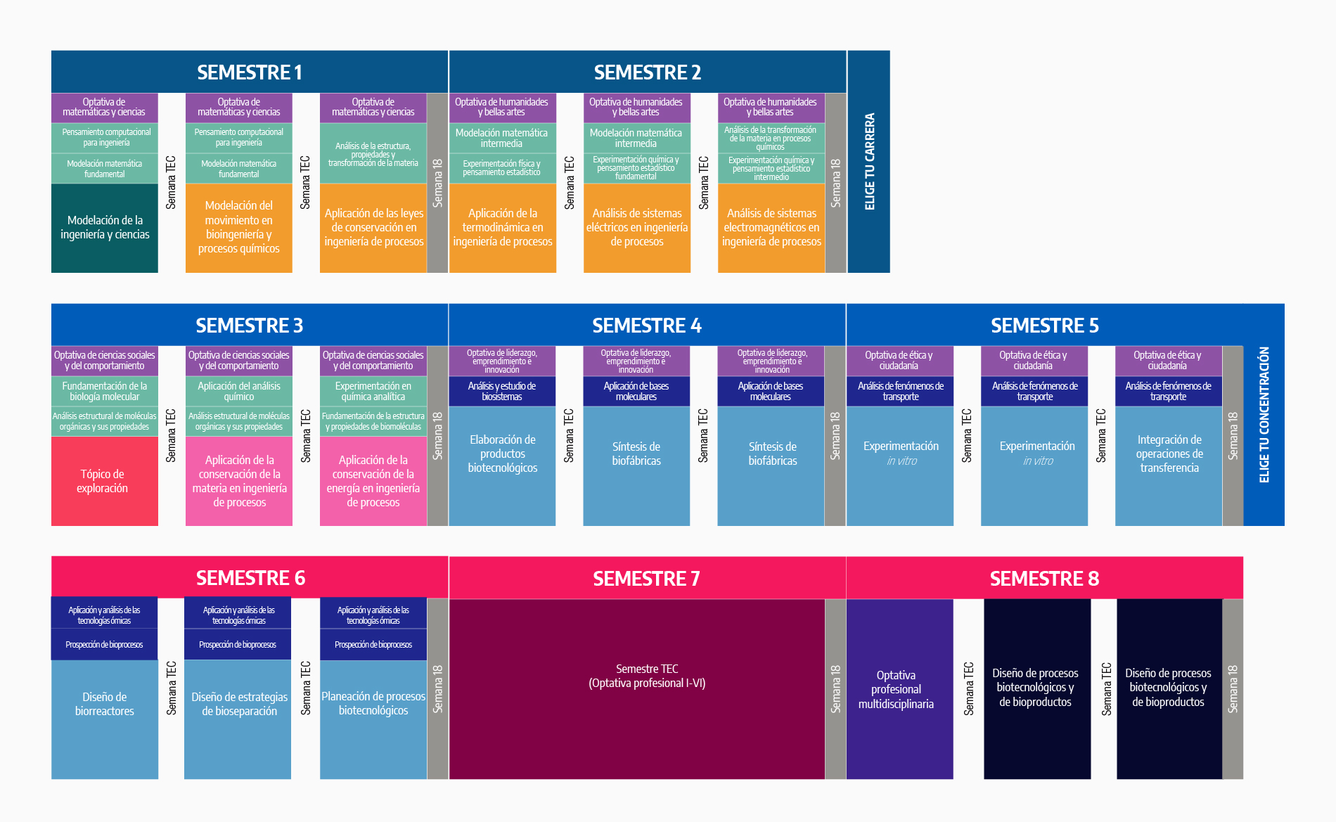 Plan de estudios Ingeniero en Biotecnología