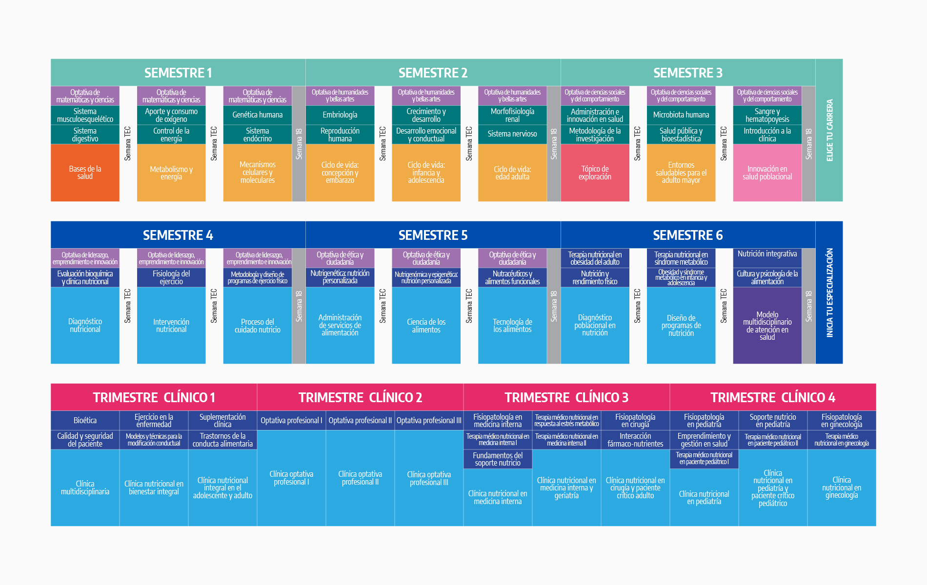Plan de estudios LNB