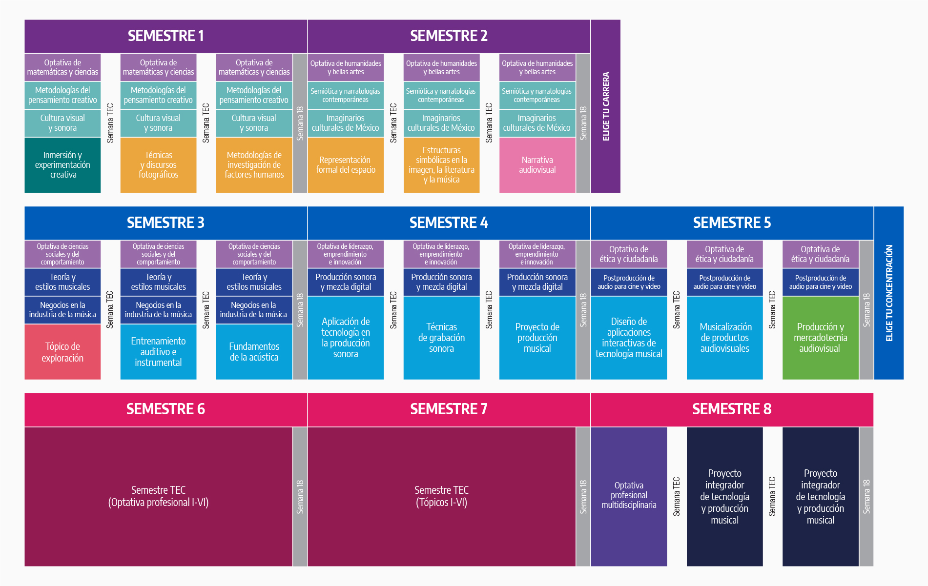 Plan de estudios LTM