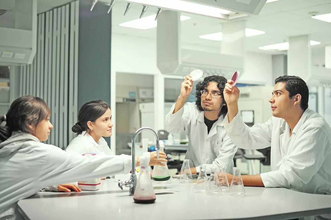 INVESTIGACIÓN