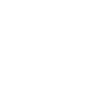 logo borrego