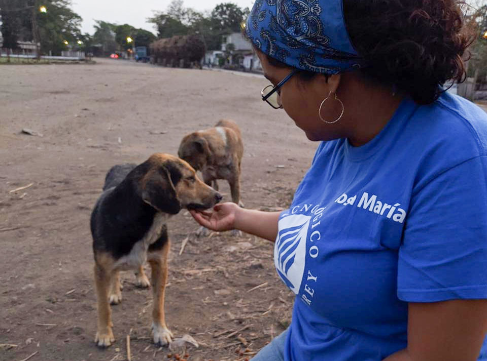 Rosa María Chávez, a través de "Hogares caninos" rescata a perros en situación de calle.