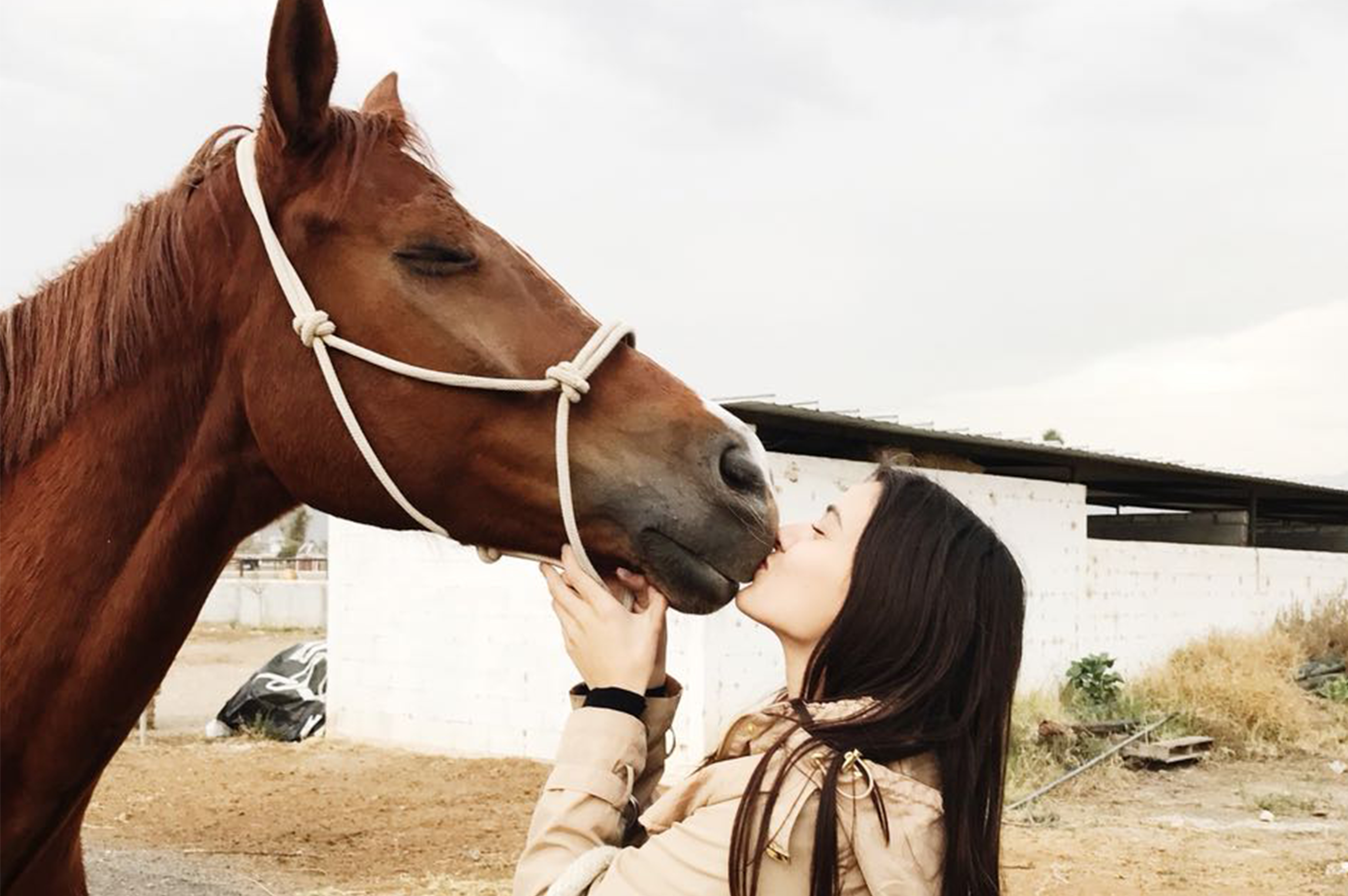 Andrea con un caballo 