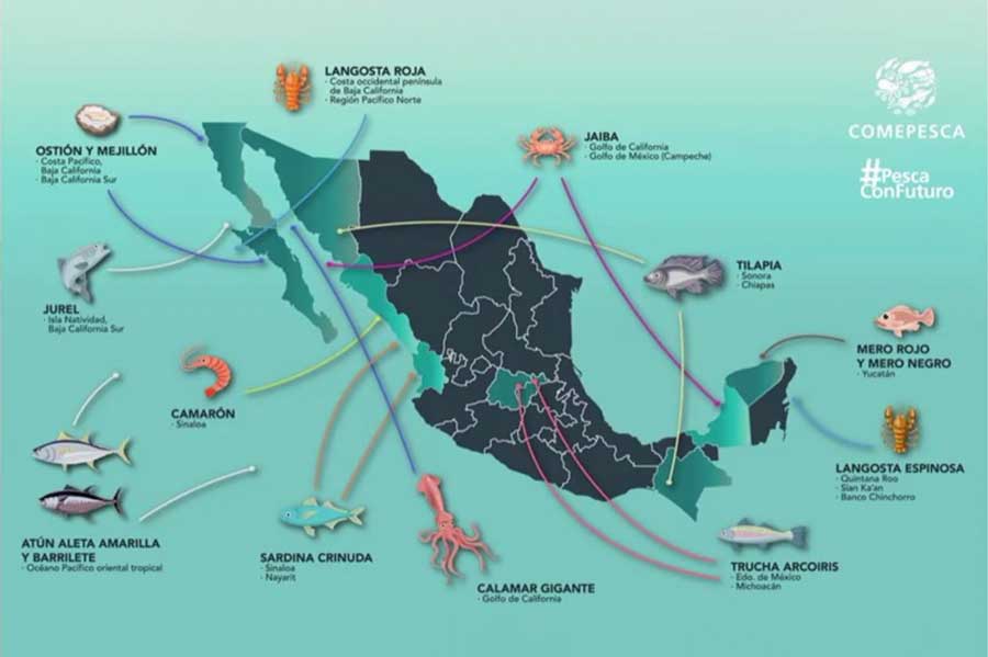 Mapa sobre mariscos en México.