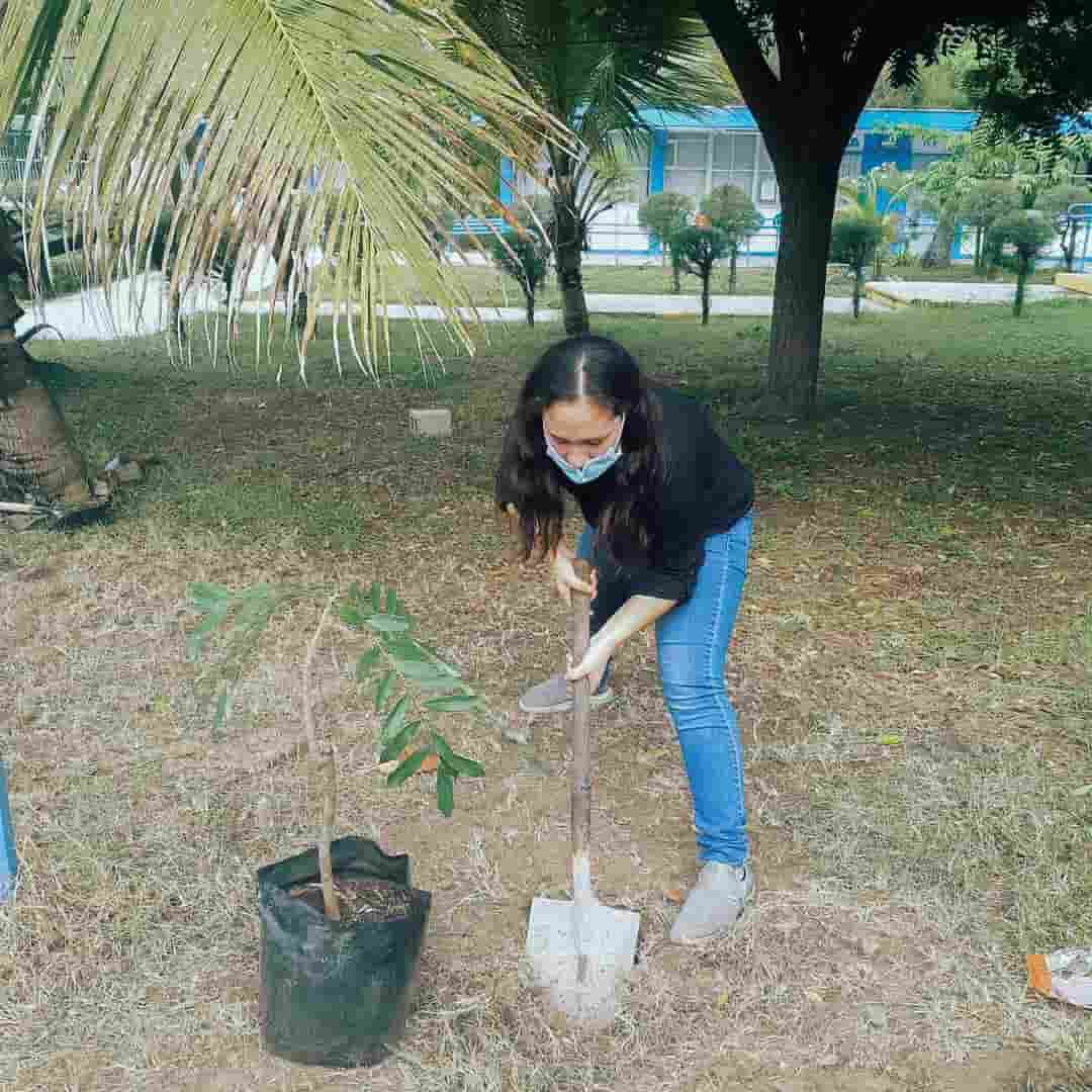 Daniela Gómez plantando un árbol de pistache.