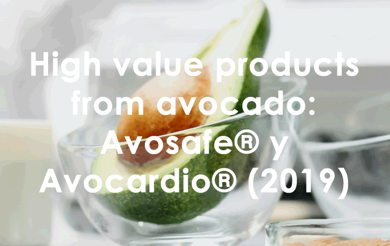 Aguacate2019