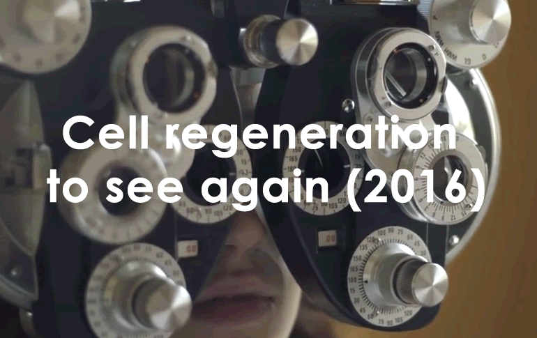 Regeneración