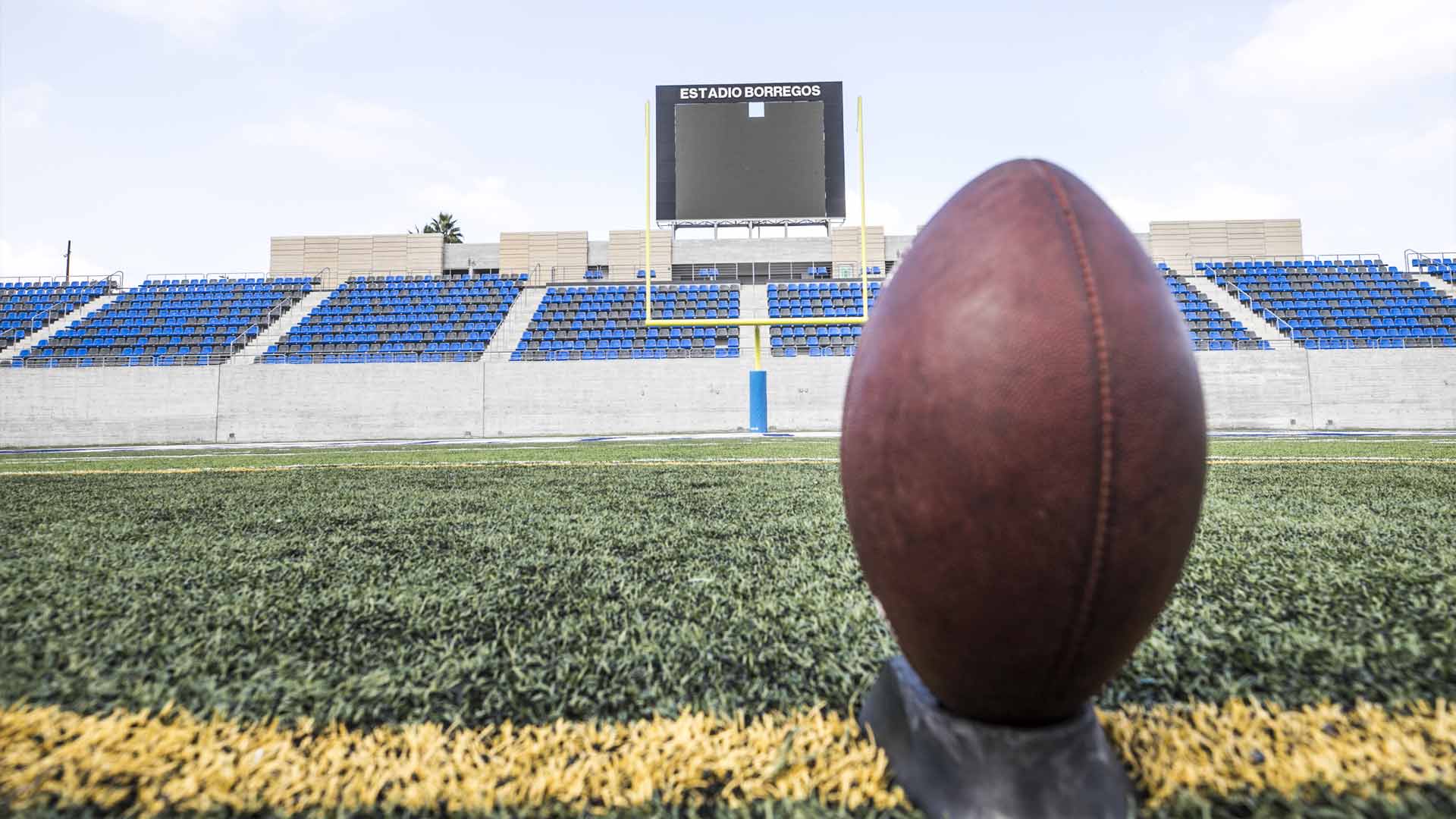 Balón en el campo