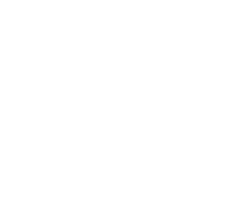 BORREGOS
