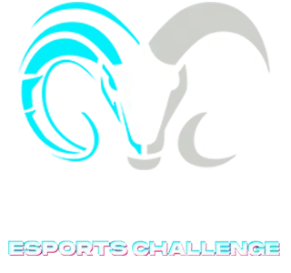 challenge