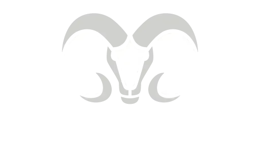 Logotipo Borregos - Equipo