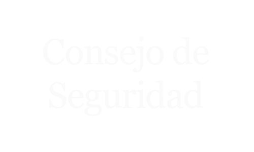 Consejo de Seguridad Munmx Ciudad Obregon