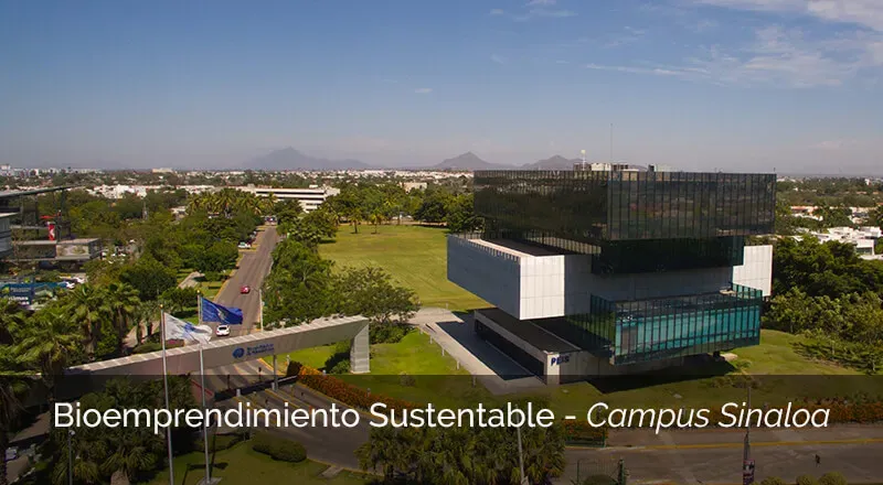Bioemprendimiento Sustentable, Campus Sinaloa