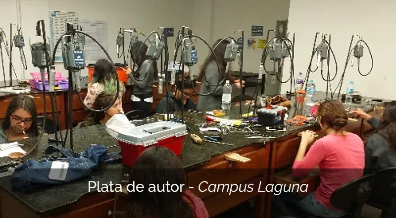 Plata de Autor, Campus Laguna