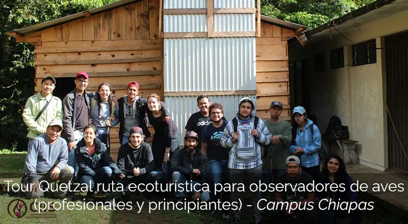 Tour Quetzal ruta ecoturística para observadores de aves (profesionales y principiantes)