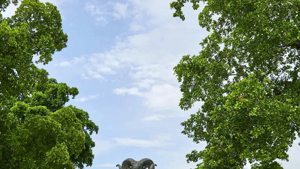Borrego Cimarrón, mascota del Tecnológico de Monterrey