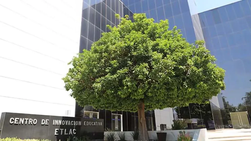 Edificio ETLAC Campus Laguna Tec de Monterrey