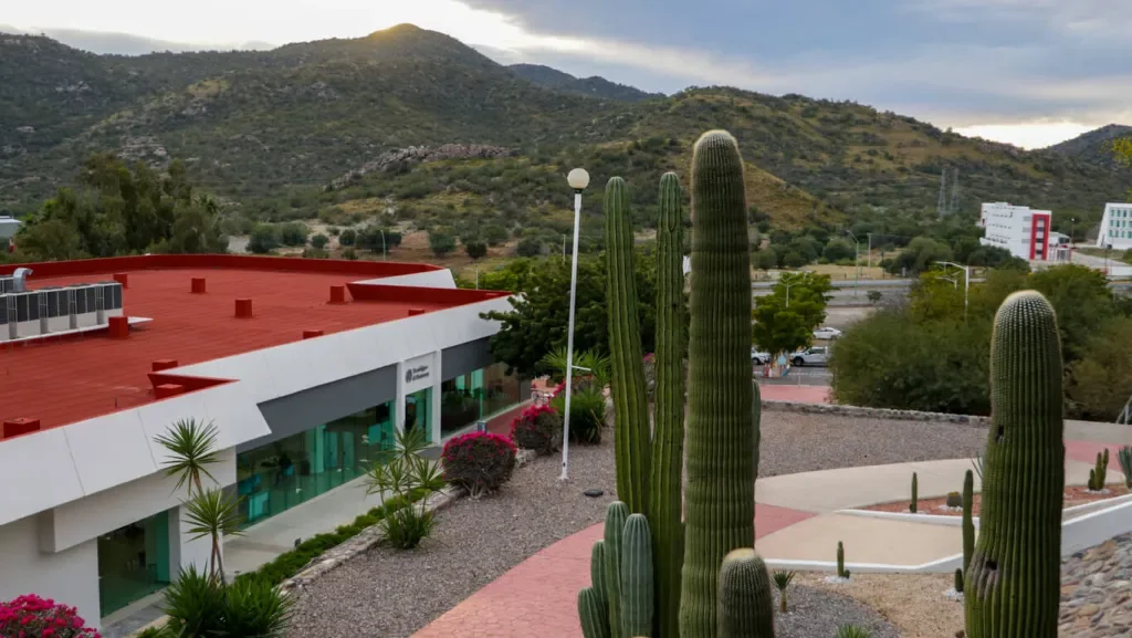 Desierto, Sonora Norte, Tec de Monterrey, Vista edificio