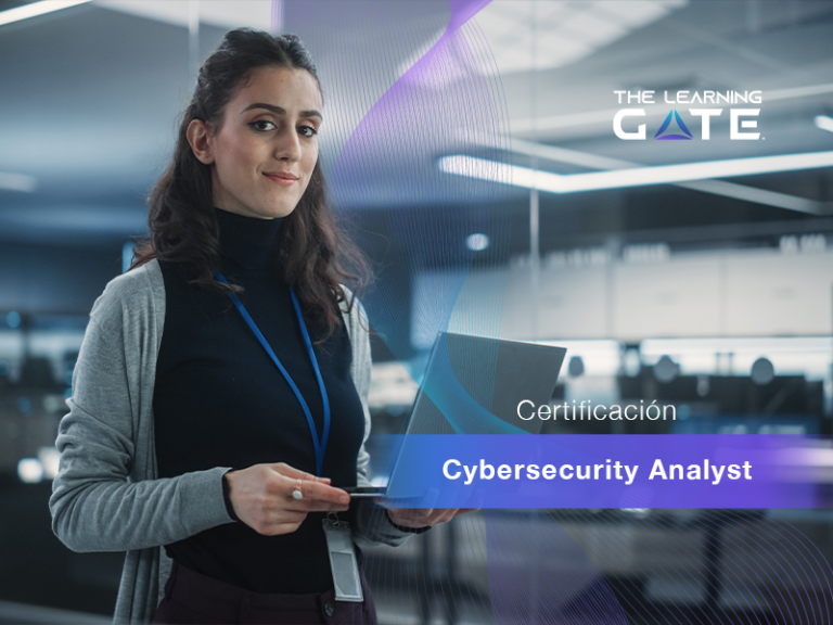 Cybersecurity Analyst