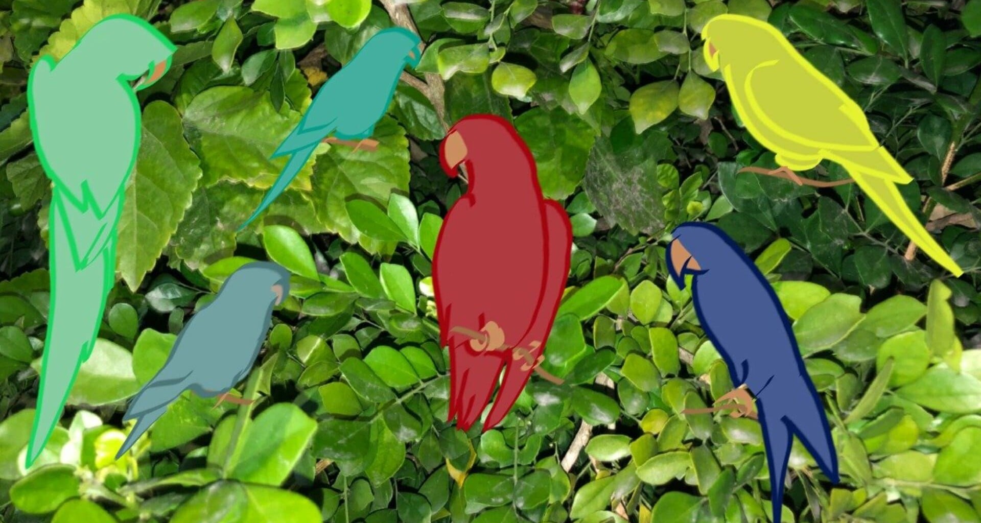 Dibujo de siluetas animadas de 6 loros de distintos colores postrados en una imagen real de un árbol.