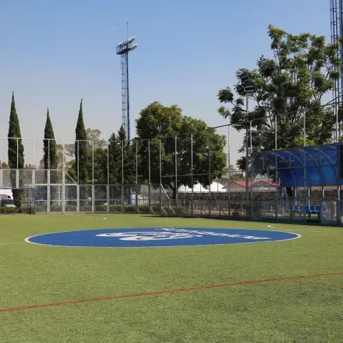 Fut-ccm