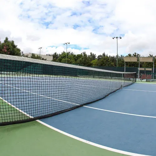 Tenis GDL