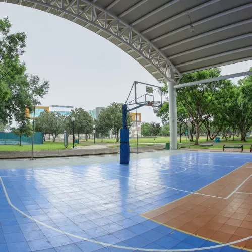 Domo Deportivo