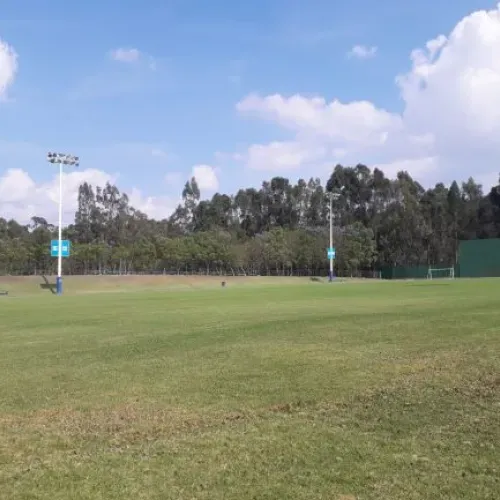 Cancha de Pasto Natural