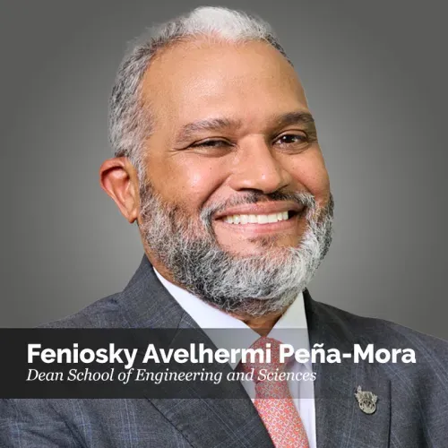 Feniosky Peña-Mora