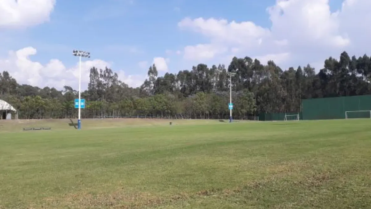 Cancha de Pasto Natural
