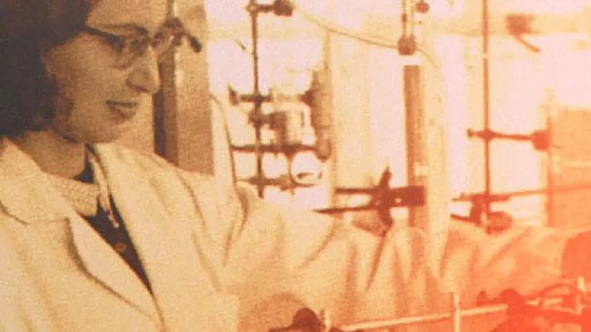 Maturing the project (1953-1963)
